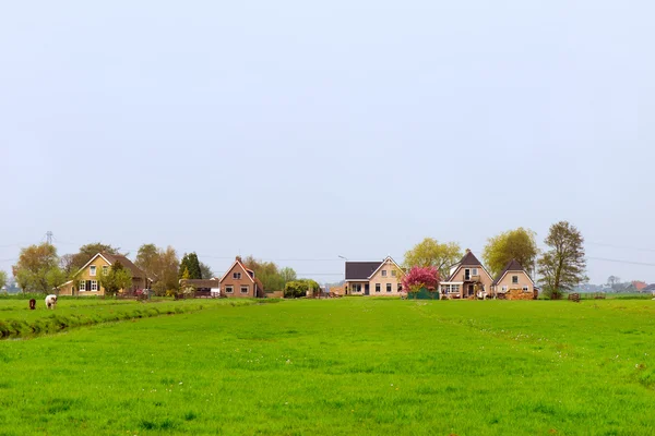 Фермерские дома в Голландии — стоковое фото