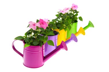 Watering cans with flowers clipart