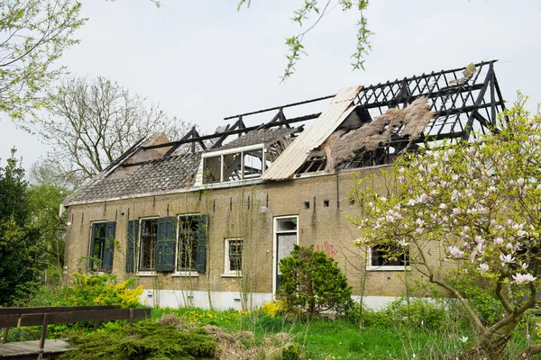 stock image Burned house