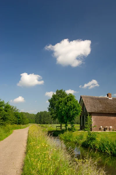 Dutch dike with ditch and house — Stok fotoğraf