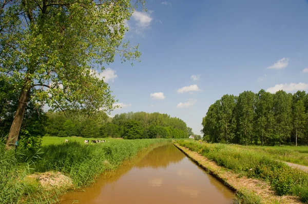Holland víz táj — Stock Fotó
