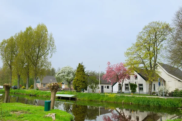 Casas rurales holandesas típicas —  Fotos de Stock
