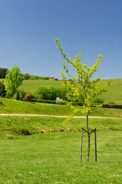 Spring in the Haute Vienne — Stock Photo, Image