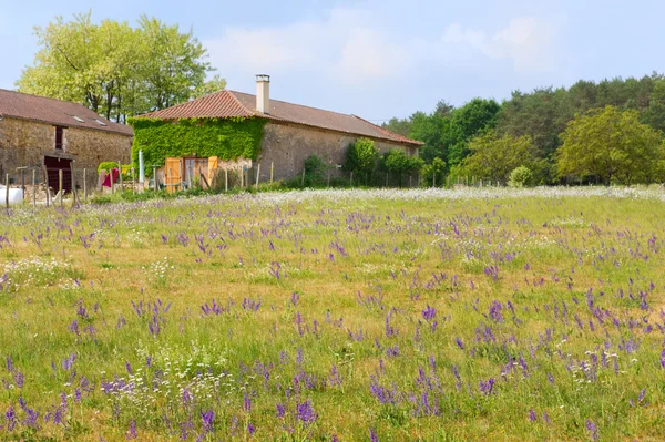 Französische Landschaft mit Haus — Stockfoto