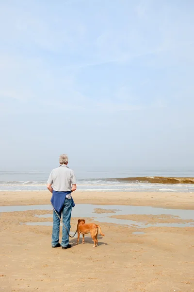 समुद्र तट पर कुत्ता के साथ आदमी — स्टॉक फ़ोटो, इमेज