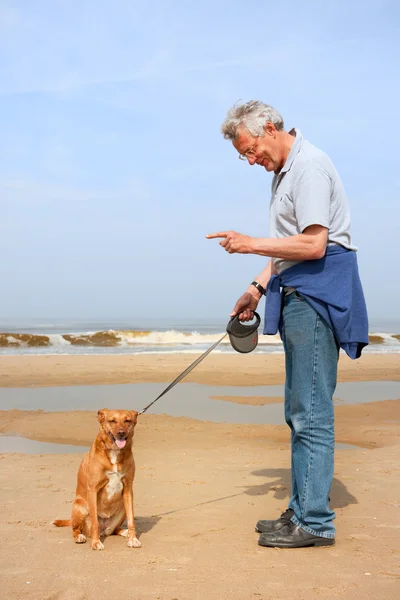 Mann med hund på stranda – stockfoto