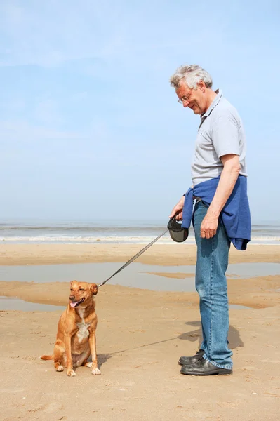 狗在沙滩上的人 — 图库照片