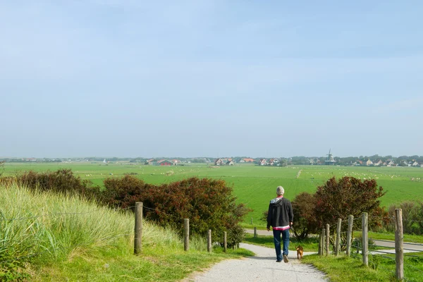 A holland természetben gyaloglás — Stock Fotó