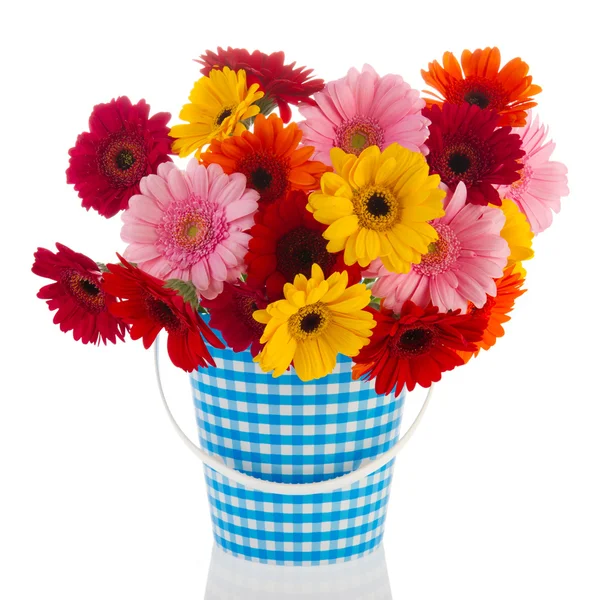 Gerber bukiet kwiatów — Zdjęcie stockowe