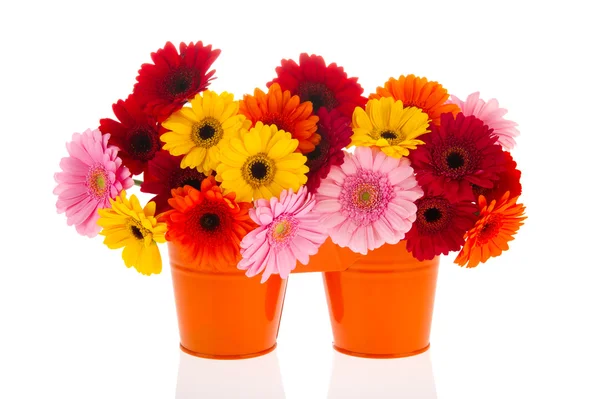 Orange buckets with colorful flowers — Stock Photo, Image