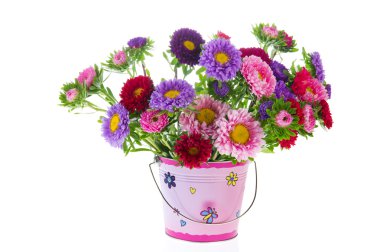 Bouquet New England Asters clipart