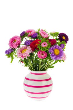 Bouquet New England Asters in vase clipart