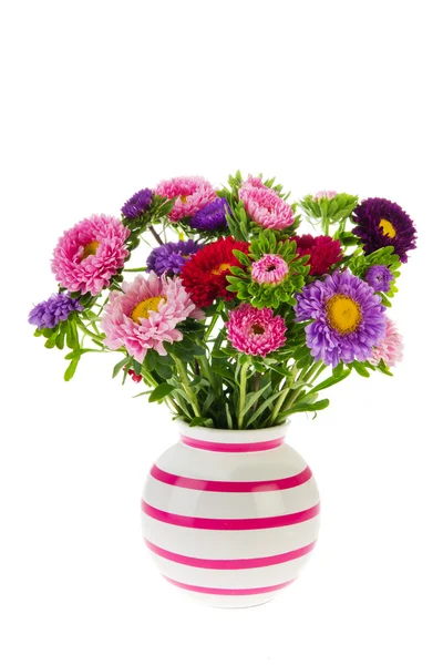 Bouquet New England Asters in vase — Stock Photo, Image