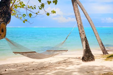 Hammock at tropical beach clipart