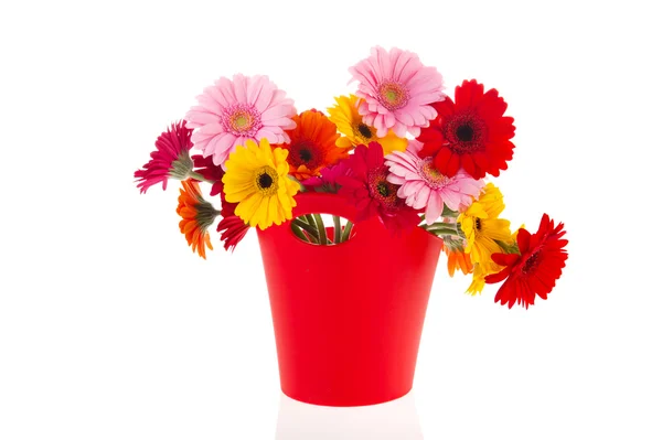 Современные вазовые цветы — стоковое фото