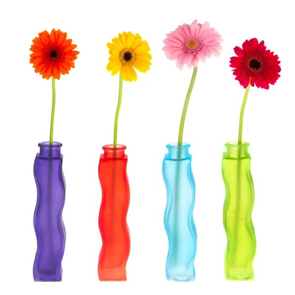 Colorful modern vases with flowers — Stock Photo, Image
