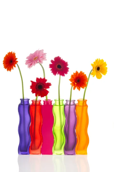 Färgglada moderna vaser med blommor — Stockfoto