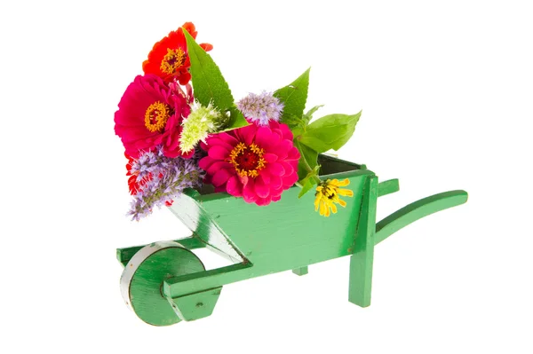 Green wheel barrow with flowers — Stock Photo, Image