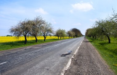 Ukrainian road clipart