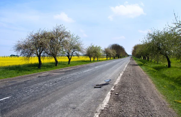 ウクライナの道路 — ストック写真