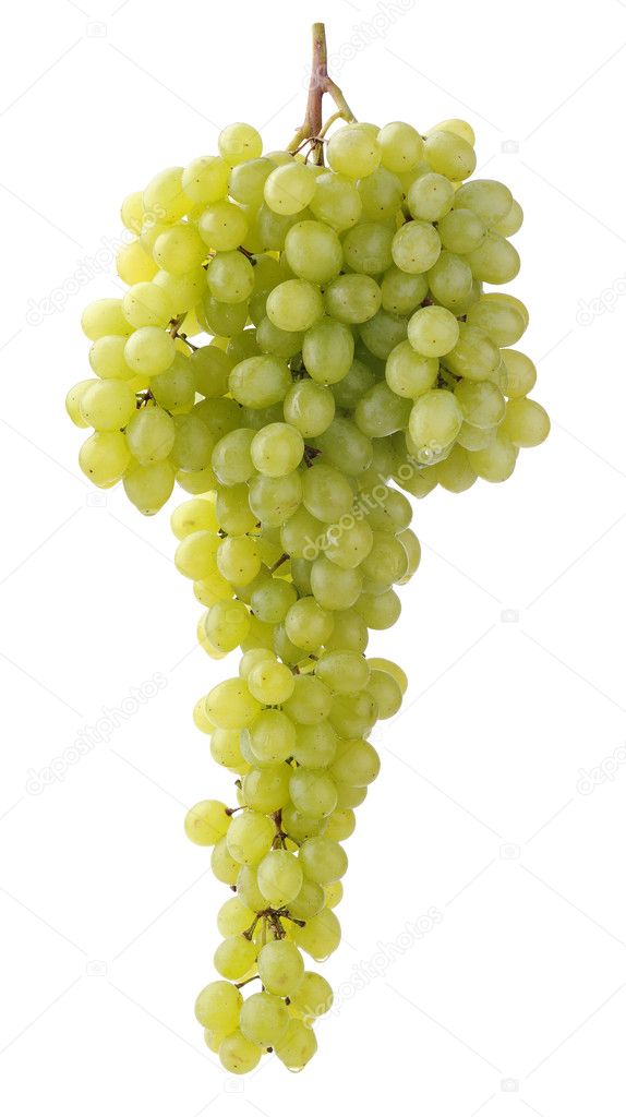 Bunch of sultana grape
