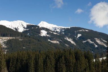 Avusturyalı alpine sahne