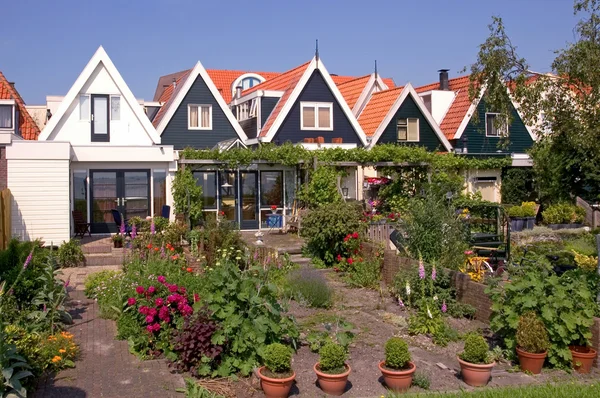 Jardins traseiros - Países Baixos — Fotografia de Stock