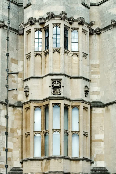 Castle windows — стокове фото