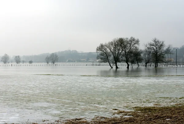 Eaux inondées gelées, France — Photo