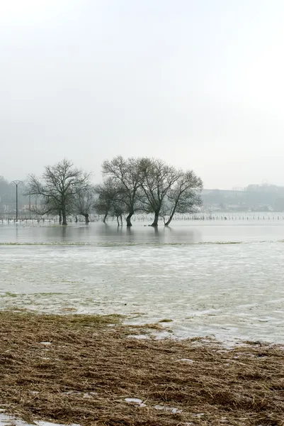 Eaux inondées gelées, France — Photo