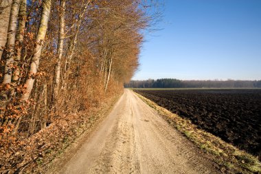 ülke lane, Almanya