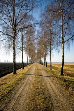 ülke lane, Almanya