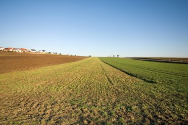 Rural Scene, Germany clipart