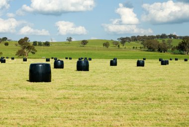 Rolls of Hay clipart