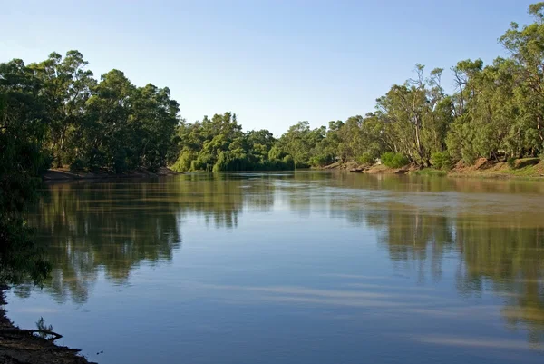 Murray River — Zdjęcie stockowe