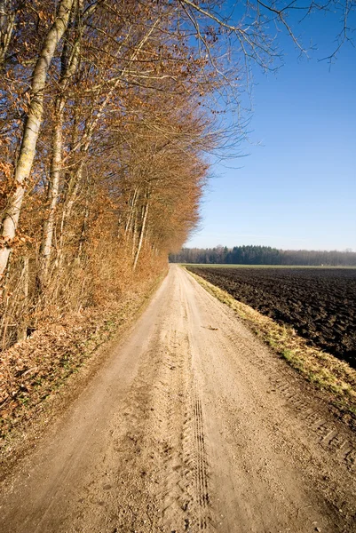 Country Lane, Alemania — Foto de Stock