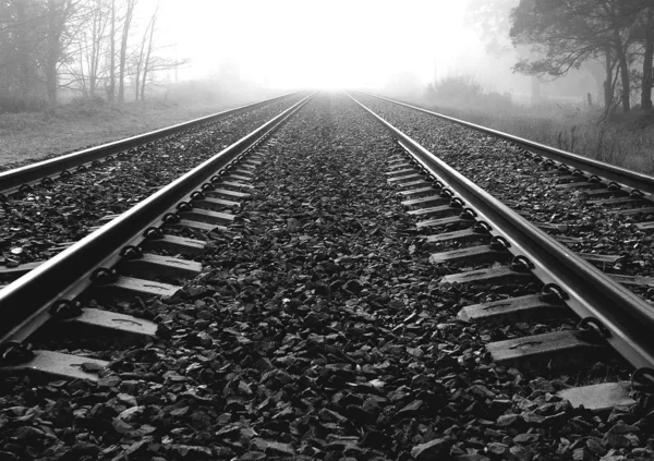 Líneas ferroviarias — Foto de Stock