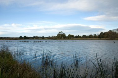 wingecarribee Nehri