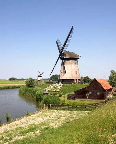 荷兰的风车 — 图库照片