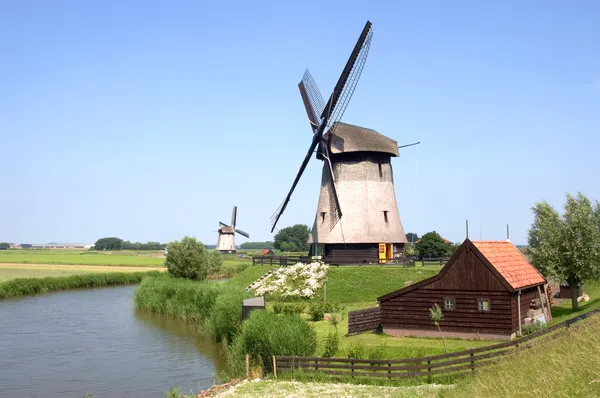 荷兰的风车 — 图库照片