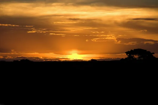 Stock image Afternoon Sunset