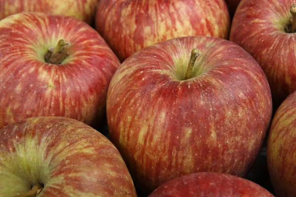 赤いリンゴのクローズ アップ — ストック写真