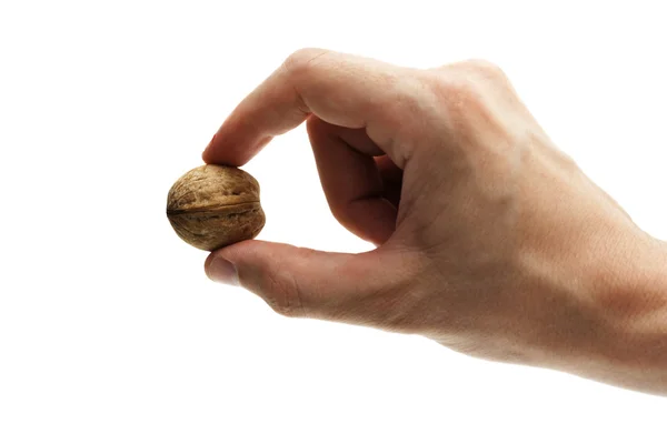 Walnut,in man hand — Stock Photo, Image