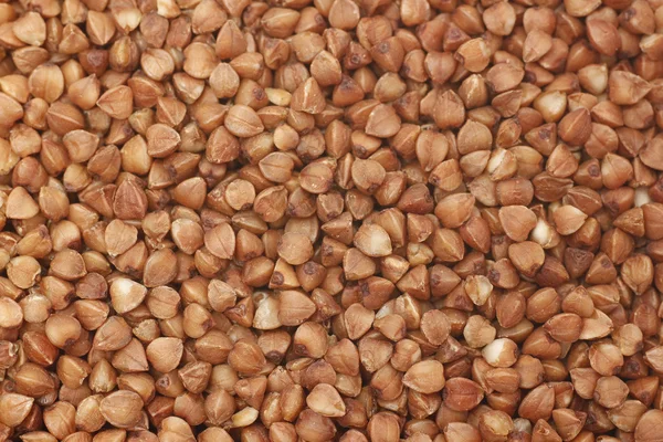 Primo piano del grano saraceno — Foto Stock