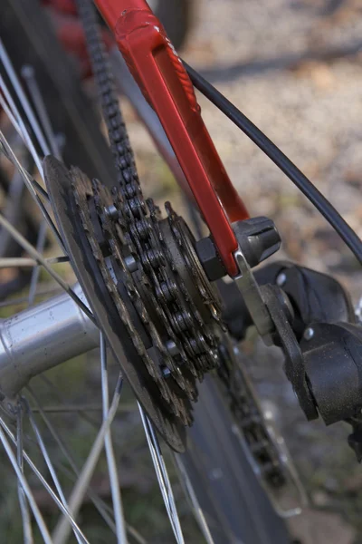 Cassete de bicicleta de montanha traseira na roda com corrente — Fotografia de Stock