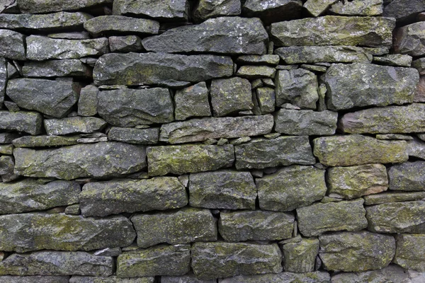 苔藓湿石头砌的墙 — 图库照片