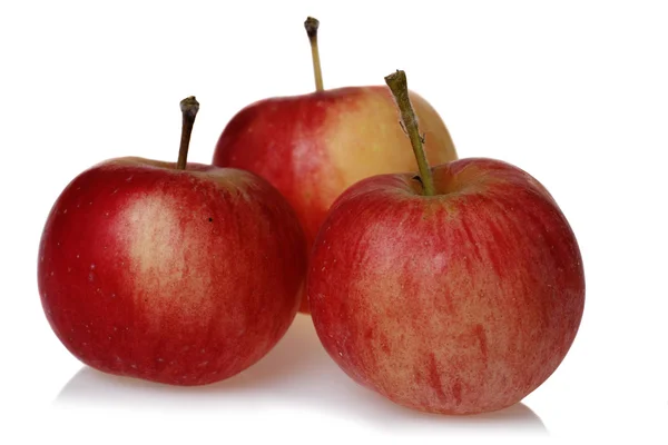 Drei winzige Äpfel — Stockfoto