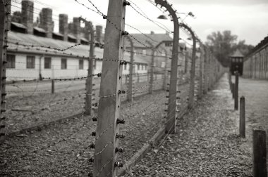 Auschwitz, Polonya'dan bir resim