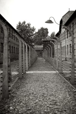Picture from Auschwitz, Poland clipart