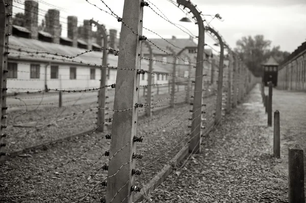 Bild från Auschwitz, Polen — Stockfoto